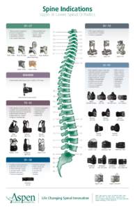 Spine Indications  Upper & Lower Spinal Orthotics C1 TO C7 • Decompressive procedures • Fracture management