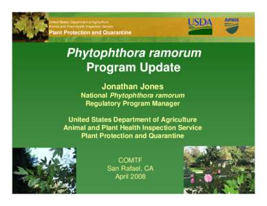 United States Department of Agriculture Animal and Plant Health Inspection Service Plant Protection and Quarantine  Phytophthora ramorum