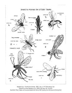 Adapted by C. Frank & M. Skinner[removed]Univ. of VT Entomology Lab. Original by Steve Bambara et al[removed]NC Coop. Ext. Service. Available: http://www.ces.ncsu.edu/depts/ent/notes/O&T/production/stickycard/sticky.html 