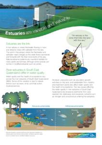 “An estuary is the zone that links the land with the sea.” Estuaries are the link A river estuary is where freshwater flowing in rivers