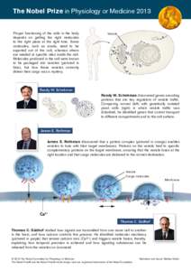 The Nobel Prize in Physiology or Medicine 2013 Proper functioning of the cells in the body depends on getting the right molecules to the right place at the right time. Some molecules, such as insulin, need to be exported