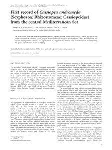 Cassiopea andromeda / Space / Cassiopea / Scyphozoa / Marsamxett Harbour / Malta / Rhizostomae / Mediterranean Sea / Schembri / Rhizostomeae / Europe / Earth