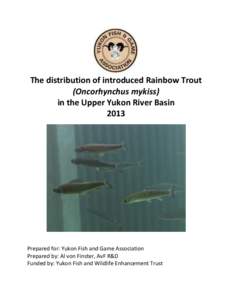 The distribution of introduced Rainbow Trout (Oncorhynchus mykiss) in the Upper Yukon River Basin[removed]Prepared for: Yukon Fish and Game Association