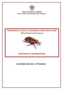 TAVOLO TECNICO FITOSANITARIO PIANTE FORESTALI  PROGRAMMA DI LOTTA AL PUNTERUOLO ROSSO DELLE PALME (Rhynchophorus ferrugineus)  CAMPAGNA DI INFORMAZIONE