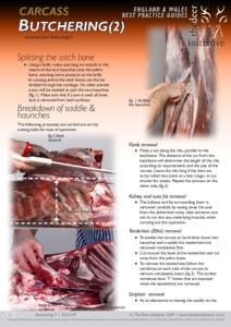 continued from Butchering(1)  Splitting the aitch bone ♦ Using a knife, make one long cut exactly in the