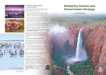 The top five strategy outcomes 1 Kimberley Wilderness Parks  The Kimberley Wilderness Parks will establish the State’s largest