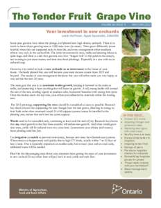 The Tender Fruit Grape Vine VOLUME 16, ISSUE 5 MAY/JUNE[removed]Your investment in new orchards