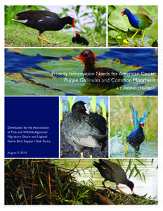 Priority Information Needs for American Coots, Purple Gallinules and Common Moorhens A FUNDING STRATEGY Developed by the Association of Fish and Wildlife Agencies’