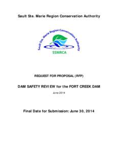 Microsoft Word - RFP_DSR_Fort Creek Dam_June_12_2014