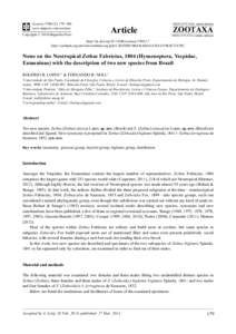 Notes on the Neotropical Zethus Fabricius, 1804 (Hymenoptera, Vespidae, Eumeninae) with the description of two new species from Brazil