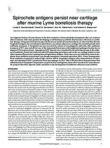 Research article  Spirochete antigens persist near cartilage after murine Lyme borreliosis therapy Linda K. Bockenstedt,1 David G. Gonzalez,2 Ann M. Haberman,2 and Alexia A. Belperron1 1Department