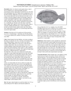 WINTER FLOUNDER / Pseudopleuronectes americanus (Walbaum[removed]Blackback, Georges Bank Flounder, Lemon Sole, Rough Flounder / Bigelow and Schroeder 1953:[removed]Description. Body oval, about two and a quarter times as 
