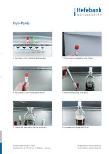 Kryo-Pearls  1. Kryo Pearls of the Hefebank Weihenstephan 2. The removal of a sample from the Freezer