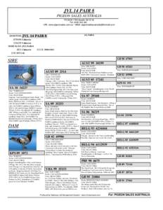 JVL 14 PAIR 8 PIGEON SALES AUSTRALIA PO BOX 1760 Gawler SA 5118 Tel: URL: www.pigeonsales.com.au * eMail: 
