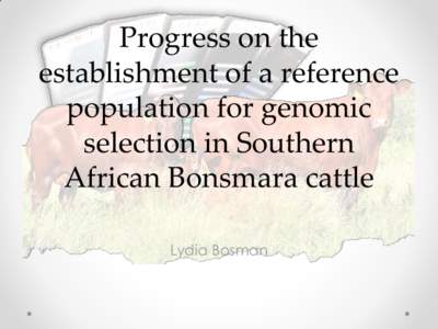 Progress on the establishment of a reference population for genomic selection in Southern African Bonsmara cattle Lydia Bosman