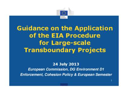 Guidance on the Application of the EIA Procedure for Large-scale Transboundary Projects 24 July 2013 European Commission, DG Environment D1