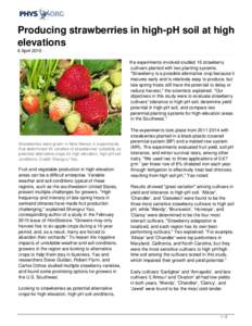 Producing strawberries in high-pH soil at high elevations