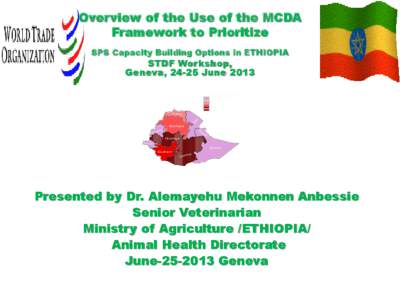 Overview of the Use of the MCDA Framework to Prioritize SPS Capacity Building Options in ETHIOPIA STDF Workshop, Geneva, 24-25 June 2013