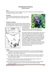 MT MANGANA STAG BEETLE Lissotes menalcas Status Vulnerable (Tasmanian Threatened Species Protection Act 1995), due to its restricted distribution, low population density and loss of habitat. Description