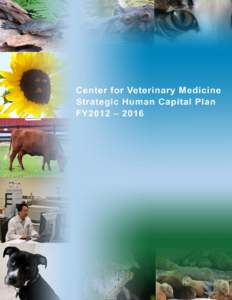 i  Message from the Center Director  I am pleased to present the Center for Veterinary Medicine’s Strategic Human  Capital Plan for FY2012–2016. There is no doubt that our success as one