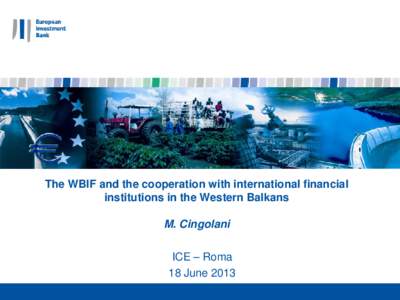 The WBIF and the cooperation with international financial institutions in the Western Balkans M. Cingolani ICE – Roma 18 June 2013