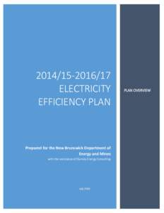 [removed]ELECTRICITY EFFICIENCY PLAN Prepared for the New Brunswick Department of Energy and Mines