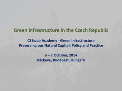 Green infrastructure in the Czech Republic CEEweb Academy - Green Infrastructure Preserving our Natural Capital: Policy and Practice 6 – 7 October, 2014 Ráckeve, Budapest, Hungary