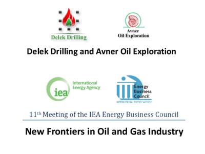 Delek Drilling and Avner Oil Exploration  New Frontiers in Oil and Gas Industry Disclaimer This presentation has been prepared by Delek Drilling – Limited Partnership and Avner Oil Exploration – Limited Partnership