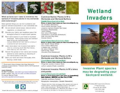 Aquatic plants / Aquatic ecology / Wetland / Invasive species / Cabomba caroliniana / Introduced species / Silvio O. Conte National Fish and Wildlife Refuge / Constructed wetland / Environment / Biology / Knowledge