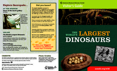 Apatosaurus / Mamenchisaurus / Dinosaur size / Sauropodomorpha / Jurassic dinosaurs / Sauropoda