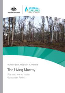 MURRAY-DARLING BASIN AUTHORITY  The Living Murray Planned works in the Gunbower Forest