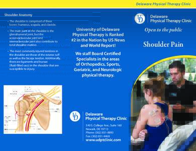 Delaware Physical Therapy Clinic Shoulder Anatomy • The shoulder is comprised of three bones: humerus, scapula, and clavicle. • The main joint of the shoulder is the glenohumeral joint, but the