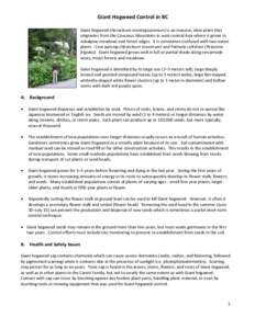   Giant Hogweed Control in BC    Giant hogweed (Heracleum mantegazzianum) is an invasive, alien plant that  originates from the Caucasus Mountains in west central Asia where it grows in  sub