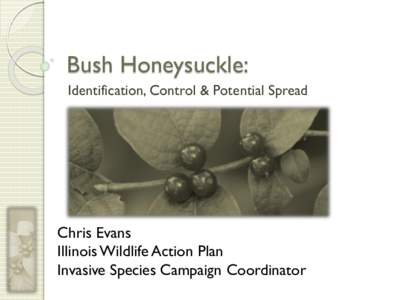 Bush Honeysuckle: Identification, Control & Potential Spread Chris Evans Illinois Wildlife Action Plan Invasive Species Campaign Coordinator