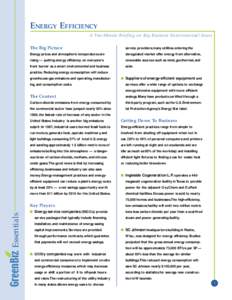 ENERGY EFFICIENCY A Two-Minute Briefing on Key Business Environmental Issues The Big Picture service providers; many utilities entering the