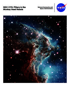 NGC 2174: Pillars in the Monkey Head Nebula National Aeronautics and Space Administration