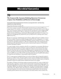 Microbial Genomics  70 The Genome of the Ammonia Oxidizing Bacterium Nitrosomonas europaea: Iron Metabolism and Barriers to Heterotrophy