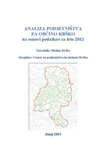 ANALIZA PODJETNIŠTVA ZA OBČINO KRŠKO na osnovi podatkov za leto 2012 Naročnik: Občina Krško Izvajalec: Center za podjetništvo in turizem Krško
