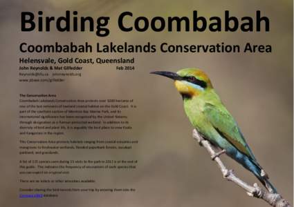Birding Coombabah Coombabah Lakelands Conservation Area Helensvale, Gold Coast, Queensland John Reynolds & Mat Gilfedder  Feb 2014