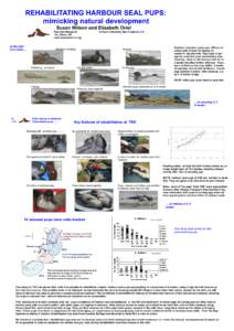 REHABILITATING HARBOUR SEAL PUPS: mimicking natural development Susan Wilson and Elizabeth Oriel Tara Seal Research Co. Down, UK www.sealresearch.org