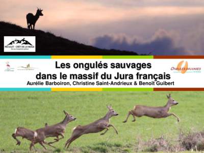 Les ongulés sauvages dans le massif du Jura français Aurélie Barboiron, Christine Saint-Andrieux & Benoît Guibert enquêtes validées