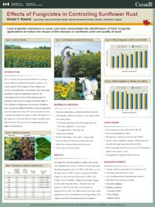 Effects of Fungicides in Controlling Sunflower Rust Khalid Y. Rashid Agriculture and Agri-Food Canada, Morden Research Station, Morden, Manitoba, Canada  Lack of genetic resistance to some rust races necessitates the ide