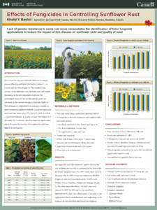 Rust / Fungicide / Wheat diseases / Biology / Microbiology / Basidiomycota