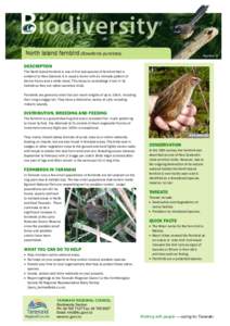 Biodiversity information sheet: North Island fernbird - Taranaki Regional Council