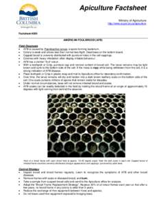 Apiculture Factsheet Ministry of Agriculture http://www.al.gov.bc.ca/apiculture Factsheet #200 AMERICAN FOULBROOD (AFB)