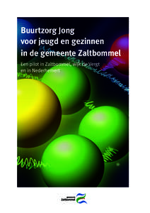 Buurtzorg Jong voor jeugd en gezinnen in de gemeente Zaltbommel Een pilot in Zaltbommel, wijk de Vergt en in Nederhemert