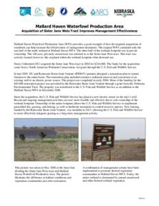 Wetland / Mallard / Michigan Wetland Management District / Nebraska / Ornithology / Rainwater Basin