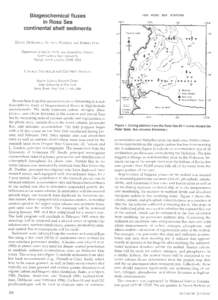 Biogeochemical fluxes in Ross Sea	 continental shelf sediments