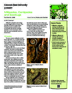 Millipedes, Centipedes and Sowbugs Fact Sheet No.	 5.552 Insect Series| Home and Garden