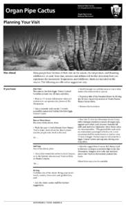 Mexico–United States border / Organ Pipe Cactus National Monument / Saguaro / Ajo /  Arizona / Sonoran Desert / Campsite / Cactus / Geography of North America / Physical geography / Geography of the United States
